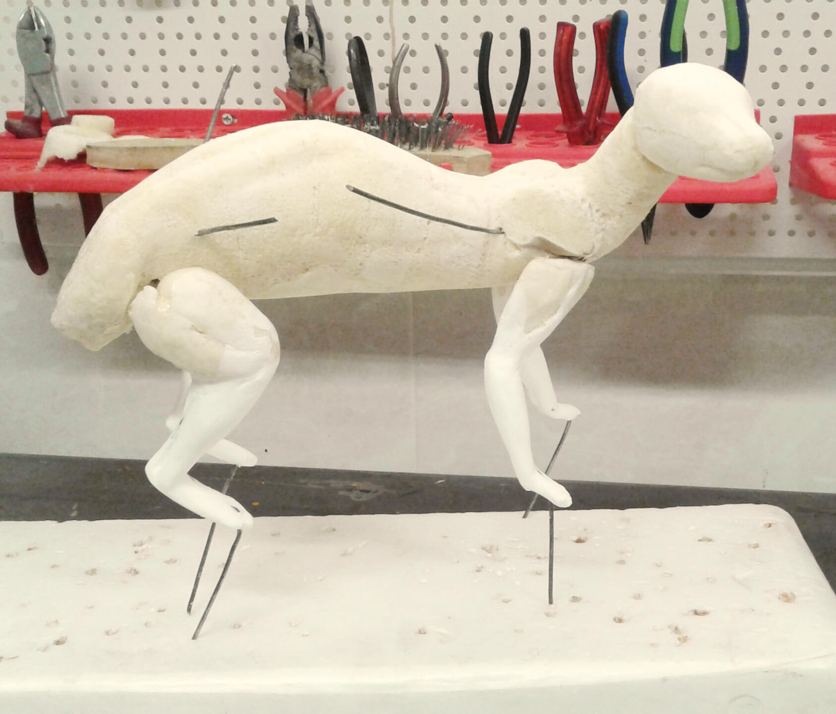 Glossy ibis, client's photo